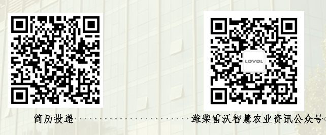 637738b9a7445.png